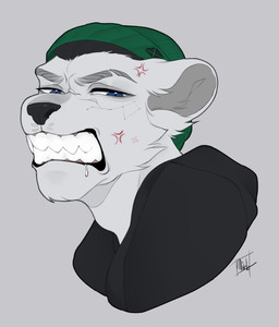 adam's_apple angry beanie black_clothing black_hair blue_eyes bodily_fluids cheek_tuft clenched_teeth clothing constellation_markings countershade_ears countershading cross-popping_vein facial_tuft fur gradient_fur green_clothing green_headwear hair hat headgear headwear hoodie male narrowed_eyes saliva solo squint teeth topwear tuft white_body white_fur mude lun_(lunerman) bear mammal polar_bear ursine absurd_res headshot_portrait hi_res portrait signature