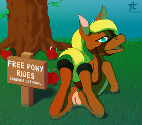 anthro anus apple apple_tree blonde_hair bridle brown_body brown_fur female food fruit fruit_tree fur genitals grass hair hooves inviting looking_at_viewer looking_back looking_back_at_viewer lying nude on_front plant presenting reins sign solo teal_eyes text tree vulva young young_anthro young_female sogaroth equid equine horse mammal 2015 absurd_res digital_media_(artwork) english_text hi_res watermark