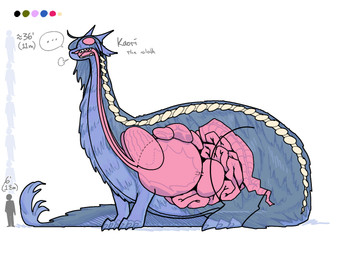 ambiguous_gender chart duo extreme_size_difference female feral fur guts height_chart height_comparison internal intestines larger_female macro organs quadruped silhouette size_difference smaller_ambiguous speech_bubble spine stomach text x-ray_view shyguy9 mythology kaori_(shyguy9) dragon mythological_creature mythological_scalie scalie 4:3 hi_res