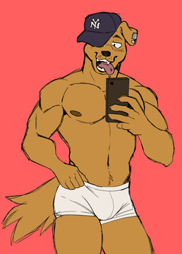 anthro athletic athletic_male belly_piercing blush boxer_briefs boxers_(clothing) brown_body brown_fur cellphone clothed clothing clothing_pull ear_piercing electronics fangs fur hand_on_hip hat headgear headwear male muscular muscular_anthro muscular_male navel navel_piercing nipples one_eye_obstructed phone piercing selfie smartphone solo tail taking_picture taking_selfie teeth thick_thighs tongue tongue_out tongue_piercing topless underwear underwear_pull waistband white_boxer_briefs white_clothing white_underwear thesketchfox canid canine canis domestic_dog mammal absurd_res hi_res