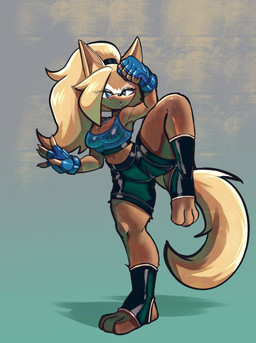 anthro blonde_hair blue_eyes bottomwear bra breasts brown_body clothing eyelashes eyelashes_through_hair facial_markings feet female fingerless_gloves gloves hair handwear head_markings markings mask_(marking) navel one_leg_up ponytail raised_leg shorts solo sports_bra translucent translucent_hair underwear karl0 idw_publishing sega sonic_the_hedgehog_(comics) sonic_the_hedgehog_(idw) sonic_the_hedgehog_(series) whisper_the_wolf canid canine canis mammal wolf 2026 hi_res