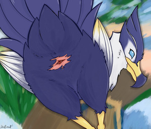 animal_genitalia avian_butt beak blue_eyes cloaca detailed_background empty_eyes feathers female feral genitals genshin_impact_(gull) looking_at_viewer low-angle_view plant presenting presenting_cloaca raised_tail solo tail tree urefunest genshin_impact mihoyo avian bird gull lari larid hi_res