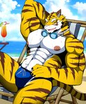 abs amber_eyes anthro beach beverage biceps bulge chair claws clothed clothing cloud eyewear finger_claws fur furniture goggles goggles_around_neck hand_behind_back male muscular muscular_anthro muscular_male nipples open_mouth outside pecs quads reclining sea seaside sitting skimpy sky solo speedo striped_body striped_fur stripes swimwear triceps water wet wet_body wet_fur bearlovestiger13 dragonblast sangetsu felid mammal pantherine tiger 2021 hi_res