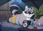 anthro bed black_nose bottomwear butt clothing detailed_background fur furniture grey_body grey_fur kemono lying male night overweight overweight_anthro overweight_male pillow reading shorts solo quanjiang bonasiah zoohomme rocco_(zoohomme) mammal procyonid raccoon 2020 hi_res