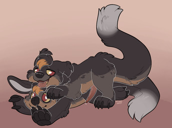 bodily_fluids dipstick_tail erection feral fur genital_fluids genitals grinding hair male markings masturbation pawpads paws penis plushie plushie_humping plushophilia precum simple_background solo tail tail_markings tongue tongue_out kaiizree korwin binturong mammal viverrid hi_res