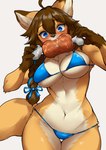 accessory ahoge anthro bikini bikini_bottom bikini_top blue_bow blue_eyes blue_ribbon blush bow_(feature) bow_accessory bow_ribbon braided_hair braided_ribbon breasts brown_body brown_fur brown_hair chest_tuft cleavage clothed clothed_anthro clothed_female clothing dipstick_ears ear_markings eating eating_food eyebrows eyelashes female female_anthro fur gloves_(marking) hair hair_accessory hair_bow hair_ribbon kemono markings midriff multicolored_body multicolored_ears multicolored_fur navel orange_body orange_fur ribbon_in_braid ribbons simple_background skimpy solo swimwear tan_body tan_fur tuft two-piece_swimsuit under_boob sleepiness18 yoterisa canid canine fox mammal red_fox true_fox 2023 absurd_res hi_res