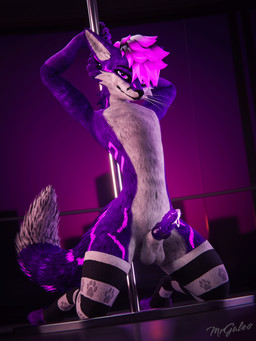 animal_genitalia animal_penis anthro balls bodily_fluids canine_genitalia canine_penis clothed clothing cum cum_drip cum_on_penis dancing dripping erection fur genital_fluids genitals hair knot knotted_penis legwear looking_at_viewer male nude penis pole pole_dancing presenting purple_body purple_eyes purple_fur simple_background smile solo stripper stripper_pole tail teasing teasing_viewer thick_thighs thigh_highs mrgaleo mammal rexouium 3:4 3d_(artwork) absurd_res blender_(artwork) blender_cycles_(artwork) digital_media_(artwork) hi_res