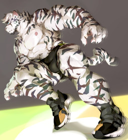 abs anthro bulge claws clothing exercise footwear hair male nipples scar shoes sneakers solo tail workout cldmkr arknights hypergryph studio_montagne mountain_(arknights) felid mammal pantherine tiger 2022 absurd_res hi_res