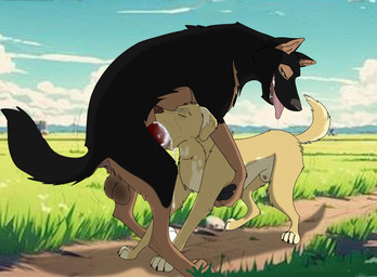 animal_genitalia animal_penis anus backsack balls bodily_fluids canine_genitalia canine_penis cum cum_in_mouth cum_inside duo erection face_mounting fellatio feral feral_on_feral feral_penetrated feral_penetrating feral_penetrating_feral fully_sheathed genital_fluids genitals intraspecies irrumatio knot knotted_penis male male/male male_feral male_penetrated male_penetrating male_penetrating_male oral oral_penetration outside penetration penile penile_penetration penis penis_in_mouth quadruped sex sheath top_hole holidaypup charlie_(eternalwolf5) streetdog canid canine canis domestic_dog mammal