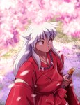 bangs beads big_eyes black_eyebrows cherry_blossom claws clothed clothing dog_ears eyebrows flower frown grass hair holding_object long_hair looking_aside looking_away male melee_weapon nails outside plant prunus_(flower) pupils slit_pupils solo standing sword weapon white_hair white_pupils yellow_eyes seyumei inuyasha inuyasha_(inuyasha) animal_humanoid canid canid_demon canid_humanoid canine canine_humanoid demon dog_demon dog_humanoid half_demon half_human humanoid mammal mammal_humanoid