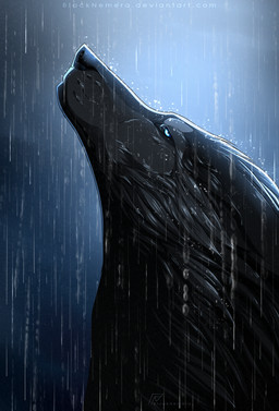black_body black_fur blue_eyes feral fur raining solo blacknemera canid canine mammal 2016 digital_media_(artwork) headshot_portrait portrait