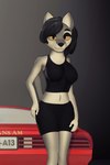 anthro black_bottomwear black_clothing black_hair black_shirt black_shorts black_tank_top black_topwear bottomwear car clothing female fur grey_body grey_fur hair shirt shorts solo tank_top topwear vehicle white_body white_fur yellow_sclera conditional_dnp gusta pontiac_firebird domestic_cat felid feline felis mammal 2:3 hi_res