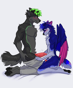 anthro blush duo embarrassed fur genitals green_hair grey_body grey_fur hair intimate intimidation knot male male/male penis penis_size_difference size_difference small_penis wings seagullart ban_(ban) maven_the_wolf canid canine canis mammal wolf 5:6 absurd_res hi_res