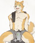 anthro athletic athletic_anthro athletic_male bodily_fluids clothing fur green_eyes male navel open_mouth sitting solo sweat tail tan_body tan_fur towel underwear luxury_gin canid mammal absurd_res hi_res