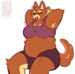 anthro belly bra brown_body brown_fur clothing eyes_closed female fur scrunchie simple_background sitting slightly_chubby slightly_chubby_anthro slightly_chubby_female solo sports_bra tying_hair underwear white_background mochiskii rusty's_mum_(bluey) australian_kelpie canid canine canis domestic_dog herding_dog mammal pastoral_dog sheepdog 2024 hi_res reference_image