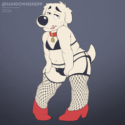 anthro bedroom_eyes bra clothing collar fishnet_clothing fishnet_legwear footwear high_heels legwear licking licking_lips male narrowed_eyes seductive shoes slightly_chubby solo thong tongue tongue_out underwear sundown_shepp family_guy brian_griffin canid canine canis domestic_dog mammal 1:1 hi_res