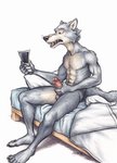 abs anthro athletic athletic_anthro athletic_male bed bodily_fluids claws erection foreskin fur furniture genital_fluids genitals grey_body grey_fur holding_penis humanoid_genitalia humanoid_penis male masturbation nude on_bed penile penile_masturbation penis precum retracted_foreskin sitting sitting_on_bed solo neverwolf beastars legoshi_(beastars) canid canine canis mammal wolf 2019 hi_res