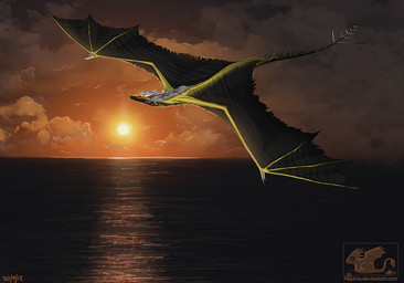 ambiguous_gender day detailed_background feral flying hair horn membrane_(anatomy) membranous_wings nude outside red_eyes solo spread_wings sun tail water white_hair wings neytirix mythology dragon mythological_creature mythological_scalie scalie 2012 hi_res