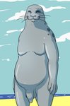 anthro balls beach casual_nudity eyes_closed flaccid foreskin front_view genitals grey_body grey_skin happy long_foreskin male moobs nude overweight overweight_anthro overweight_male penis public public_nudity seaside smile solo standing unretracted_foreskin whiskers fizzpop beastars sagwuan_(beastars) mammal marine pinniped seal spotted_seal 2020 hi_res portrait three-quarter_portrait