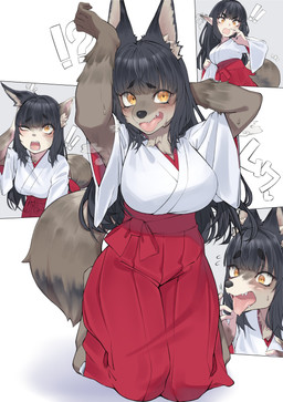 alarmed anthro asian_clothing black_hair black_nose bodily_fluids clothing east_asian_clothing female fox_ears fox_tail fur fur_tuft hair human_to_anthro japanese_clothing kemono miko_outfit solo species_transformation surprised sweat sweatdrop transformation tuft yellow_eyes neko_kaminari80 canid canine fox mammal absurd_res hi_res