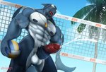 anthro ball balls beach bodily_fluids coconut cum cumshot drupe_(fruit) ejaculation food fruit genital_fluids genitals male masturbation muscular muscular_male net nipples non-mammal_balls non-mammal_nipples orgasm penis plant seaside solo sport sweat volleyball volleyball_(ball) volleyball_net wingdavon cetacean dolphin mammal marine oceanic_dolphin orca toothed_whale absurd_res hi_res