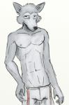 5_fingers abs anthro black_nose bottomwear bulge cheek_tuft clothed clothing eye_bags facial_tuft fingers fur grey_body grey_fur looking_at_viewer male navel nipples pecs pubes shorts simple_background slim solo standing suspenders topless tuft white_background capt_hairball beastars legoshi_(beastars) canid canine canis mammal wolf 2019 half-length_portrait hi_res portrait