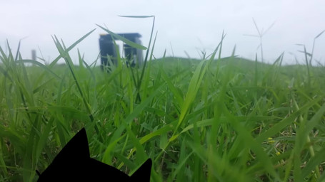 computer duo electronics feral fur hair humor library male outside slap smile alienmyth64 playstation playstation_2 sony_corporation sony_interactive_entertainment ps2_cat_(alienmyth64) white_cat_(alienmyth64) domestic_cat felid feline felis mammal 16:9 2015 animated hi_res huge_filesize long_playtime sound voice_acted webm widescreen father_(lore) father_and_child_(lore) father_and_son_(lore) parent_(lore) parent_and_child_(lore) parent_and_son_(lore) son_(lore)