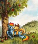 2014 apple applejack_(mlp) cloud cowboy_hat cutie_mark duo equine eyes_closed female friendship_is_magic fruit grass hair hat horse lying mammal multi-colored_hair my_little_pony outside pegasus pony purple_eyes rainbow_dash_(mlp) rainbow_hair sitting sky sophiecabra tess_garman tree wings
Rating: Safe
Score: 11
User: 2DUK
Date: April 10, 2014