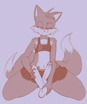absurd_res anthro ball_fondling balls bedroom_eyes biffalo canid canine cheerleader_outfit clothed clothing crossdressing dominant duo eulipotyphlan femboy fondling fox genitals half-closed_eyes handjob hedgehog hi_res kneeling male male/male mammal miles_prower narrowed_eyes penile penis seductive sega sex smile smug smug_face sonic_the_hedgehog sonic_the_hedgehog_(series) straddling thick_thighs wide_hips