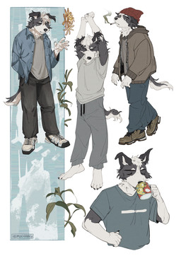 anthro biped black_body black_eyes black_fur blue_bottomwear blue_clothing blue_pants bottomwear clothing floppy_ears fur grey_bottomwear grey_clothing grey_hoodie grey_pants grey_shirt grey_topwear hoodie male multiple_poses pants pose shirt slim_anthro slim_male solo topwear white_body white_fur hemuchang border_collie canid canine canis collie domestic_dog herding_dog mammal pastoral_dog sheepdog 2026 hi_res
