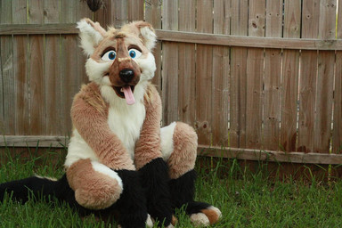 anthro backyard blue_eyes bone clothing costume fence fursuit looking_at_viewer male real solo tail tongue unknown_artist canid canine canis domestic_dog mammal 3:2 grandfathered_content