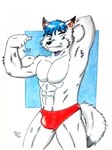 abs anthro barazoku biceps big_muscles black_nose blue_eyes blue_hair bulge clothing flexing flexing_bicep flexing_muscles fur hair hand_behind_head looking_at_viewer male manly muscular muscular_anthro muscular_male obliques pecs pose red_clothing red_underwear simple_background smile tail teeth underwear white_body white_fur dashthefox dj_(djdarkfox) arctic_fox canid canine fox mammal true_fox absurd_res hi_res pinup traditional_media_(artwork)