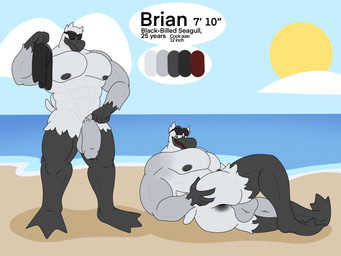 3_toes 5_fingers abs anthro anus backsack balls barefoot beach beak big_muscles big_penis black_anus black_beak black_feet black_glans black_legs black_nipples butt clothing cloud color_swatch eyewear eyewear_on_head feathers feet fingers flaccid foreskin front_view genitals glans grey_balls grey_foreskin grey_penis hand_on_butt humanoid_genitalia humanoid_penis looking_at_viewer looking_back lying male membrane_(anatomy) muscular nipples nude on_side open_mouth outside penis presenting presenting_anus presenting_balls presenting_hindquarters pubes rear_view sand seaside solo spread_butt spreading standing sun sunglasses sunglasses_on_head swimming_trunks swimwear tail tail_feathers text toes water webbed_feet kelsdungeon brian_(docbotfromdoom) avian bird gull lari larid 2023 4:3 english_text hi_res model_sheet