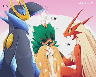 ambiguous_gender comparing feral group happy size_difference standing winged_arms wings teoluve378 nintendo pokemon avian bird blaziken decidueye empoleon generation_3_pokemon generation_4_pokemon generation_7_pokemon pokemon_(species) 2017 absurd_res digital_media_(artwork) hi_res