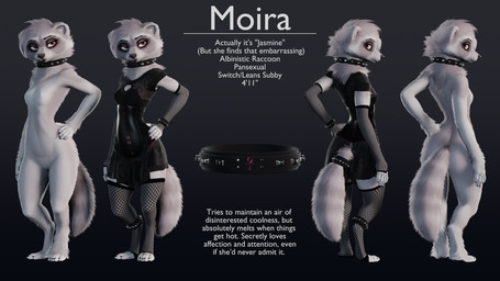 anthro breasts clothed clothing collar collar_only digitigrade dress ear_piercing eyebrow_piercing eyebrow_ring facial_piercing featureless_crotch feet female fingers fishnet_clothing fishnet_legwear fur industrial_piercing legwear looking_at_viewer looking_back nude piercing rear_view ring_piercing simple_background solo standing stated_height stated_pansexuality stated_sexuality stated_species tail text toes ruaidri moira_(ruaidri) mammal procyonid raccoon 16:9 2023 3d_(artwork) character_name digital_media_(artwork) english_text hi_res model_sheet widescreen