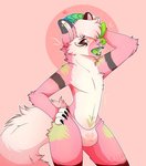 anthro bulge clothing dildo femboy fluffy fluffy_tail fur fur_markings green_tongue heart_symbol male markings panties sex_toy snout solo tail tongue underwear muky-cuddly canid canine mammal