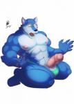 abs anthro athletic balls biceps big_balls big_muscles big_penis biped black_nose blue_body blue_fur claws clothed clothing erection fur genitals humanoid_genitalia humanoid_penis kneeling male muscular muscular_anthro muscular_male nipples open_mouth pecs penis pose simple_background solo speedo swimwear thick_penis tongue topless white_background donryu mike_(freehugz) canid canine canis mammal wolf 2014 hi_res