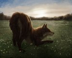 amazing_background ass_up brown_body brown_eyes brown_fur butt butt_focus clover_(plant) detailed_background female feral freedom fur landscape looking_at_viewer outside plant quadruped realistic_feral sky solo white_body white_fur wildflowers foxapm samarah canid canine canis mammal wolf 2021 5:4 detailed digital_media_(artwork) digital_painting_(artwork) shaded