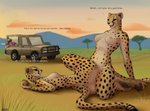 anthro being_watched big_butt breasts brown_eyes butt camera car detailed_background dialogue duo_focus female female/female fur group inside_car inside_vehicle looking_at_another lying markings navel nipples obscured_sex obscured_tribadism obscured_vaginal on_back open_mouth outside outside_sex pawpads paws savanna sex spots spotted_body spotted_fur spread_legs spreading text tribadism vaginal vehicle antira cheetah felid feline human mammal english_text hi_res