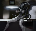 black_body black_skin bone bra breasts clothed clothing detailed_background female front_view garter_belt garter_straps legwear lingerie nipple_outline not_furry panties sitting skull solo stockings tail thigh_highs underwear white_bra white_clothing white_panties white_underwear zaggatar alien_(franchise) alien xenomorph 2022 hi_res portrait three-quarter_portrait