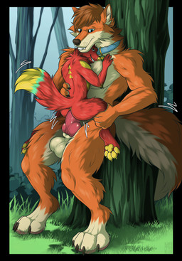 anal anal_penetration animal_genitalia animal_penis anthro anthro_on_anthro anthro_penetrated anthro_penetrating anthro_penetrating_anthro anus balls bangs big_penis black_claws black_eyebrows black_nose blue_collar brown_hair butt canine_genitalia canine_penis cheek_tuft claws collar collar_only collar_tag duo erection eye_contact eyebrows facial_tuft fangs forest fur genitals grass hair hand_on_another's_back hand_on_another's_chest inner_ear_fluff knot knotted_penis larger_male leg_grab long_snout looking_at_another male male/male male_penetrated male_penetrating male_penetrating_male motion_lines multicolored_body multicolored_fur nude orange_body orange_eyebrows orange_fur outside pawpads penetration penile penile_penetration penis penis_in_ass pink_pawpads plant raised_tail red_body red_fur sex sheath short_hair size_difference smaller_male smaller_penetrated smile smiling_at_another smiling_at_each_other smiling_at_partner snout stand_and_carry_position standing standing_sex tail tan_body tan_fur teeth tree tuft two_tone_body two_tone_fur two_tone_tail yellow_anus yellow_claws yellow_nose yellow_pawpads mataki23 canid canine canis fox mammal wolf 2026 colored digital_drawing_(artwork) digital_media_(artwork) hi_res shaded