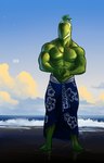 5_fingers 5_toes abs anthro beach biceps clothed clothing cloud feet fingers food fruit jewelry lime male muscular muscular_male navel necklace nipples outside pecs plant sarong sea seaside solo standing toes topless water wave bgn keyth_(bgn) elemental_creature flora_fauna food_creature living_fruit 2021 dated full-length_portrait hi_res portrait signature watermark