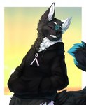 anthro black_body black_fur black_nose blue_body blue_fur border canid canine cheek_tuft clothed clothing digital_media_(artwork) dipstick_tail eyebrows eyes_closed facial_markings facial_tuft fur gradient_background green_background hand_in_pocket head_markings hi_res hoodie inner_ear_fluff male mammal markings multicolored_body multicolored_fur neck_tuft pockets shaded simple_background smile solo stargate tail tail_markings talilly teeth topwear tuft white_body white_border white_eyebrows white_fur yellow_background