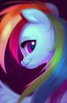 female hair looking_at_viewer multicolored_hair purple_eyes rainbow_hair smile solo wings imalou friendship_is_magic hasbro my_little_pony mythology rainbow_dash_(mlp) equid equine mammal mythological_creature mythological_equine pegasus 2017 absurd_res digital_media_(artwork) hi_res