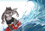 abs anthro biceps clothing fur kemono male muscular muscular_anthro muscular_male nipples outside pecs sea seaside simple_background solo summer surf surfboard surfer swimwear vehicle water watercraft taki_kaze canid canine canis mammal wolf 2018 hi_res