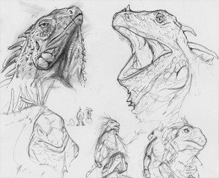ambiguous_gender anthro bottomwear clothed clothing dewlap_(anatomy) front_view group half-closed_eyes looking_at_viewer looking_back looking_back_at_viewer mouth_closed narrowed_eyes open_mouth pants pants_only pupils scales side_view topless deriaz iguana iguanid lizard reptile scalie 2013 full-length_portrait graphite_(artwork) greyscale headshot_portrait monochrome portrait sketch traditional_media_(artwork)