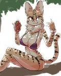 anthro beef big_breasts bikini bodily_fluids breasts cleavage clothed clothing female food fur kemono markings meat neck_tuft saliva saliva_string solo spots spotted_body spotted_fur steak swimwear tuft two-piece_swimsuit yellow_body yellow_eyes yellow_fur niku9owata nikuq_owata felid feline mammal serval