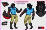 alexzandr_sokolov anthro arm_markings besky_(artist) biceps black_body black_fur black_hair black_nose black_tail blue_clothing canid canine canis clothing digital_media_(artwork) digitigrade fur hair hoodie long_hair looking_at_viewer male mammal markings model_sheet muscular muscular_male red_ears red_eyes red_markings red_tail sleeveless_hoodie smile smirk snout solo tail tan_clothing topwear wolf