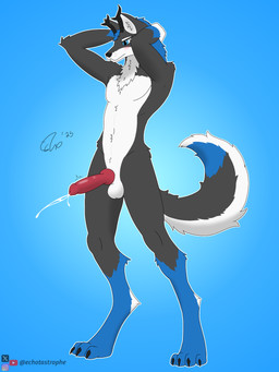 4_toes animal_genitalia animal_penis anthro antlers balls blue_background blue_body blue_eyes blue_fur blue_hair blush bodily_fluids canine_genitalia canine_penis claws countershading cum cum_string cumshot curled_tail digitigrade ejaculation feet fur genital_fluids genitals grey_body grey_fur hair hands-free hands_behind_head horn knot knotted_penis male navel nude outline paws penis red_penis simple_background solo standing tail throbbing throbbing_penis toes tuft white_body white_fur echotastrophe canid canine canis mammal wolf 3:4 absurd_res hi_res shaded signature simple_shading