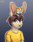 anthro big_ears brown_eyes clothed clothing fluffy_ears looking_at_viewer male rabbit_ears shirt simple_background solo topwear yellow_clothing yellow_shirt yellow_topwear not_a_lil_pesto sega sonic_the_hedgehog_(series) miles_prower unknown_character canid canine fox lagomorph leporid mammal rabbit hi_res